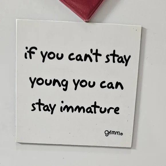 Magnets - Assorted Funny Designs - Picture 5 of 7